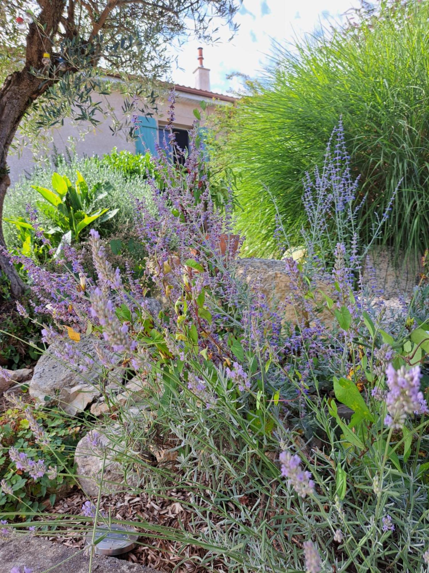 La Tropezienne Castera-Verduzan Exterior photo